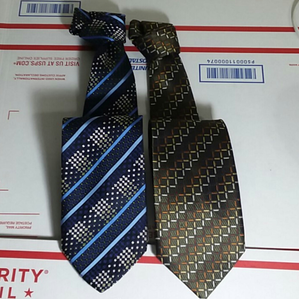 Lot of Two:  Pavone/Luciano Biarelli Silk Ties